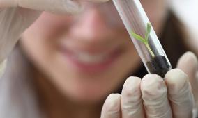 الحد من المخاطر نهج علمي وعملي: خارطة الطريق لمكافحة التدخين