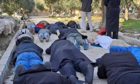 مستعمرون يقتحمون المسجد الأقصى