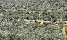 الاحتلال يواصل تجريف واقتلاع أشجار زيتون معمرة في سلفيت