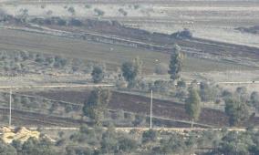 مستوطنون يحرثون أراضي في ترمسعيا شمال رام الله