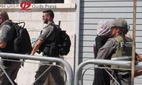 الاحتلال يعتقل أربعة مواطنين بينهم سيدتان من منطقة المالح