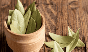 كيف تقوم أوراق الغار بتعزيز نضارة وشباب البشرة؟