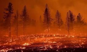 استراليا تعلن حالة كارثة حرائق