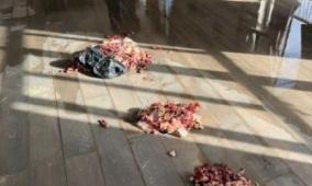 قرية الشباب في مواجهة "قذارة" الاستيطان