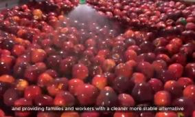 تركيب 16 جهاز هاضم حيوي في شركات الصناعات الغذائية بمحافظة طوباس