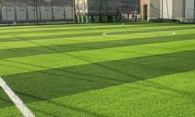 الاحتلال يمنع إدخال شحنة عشب اصطناعي مخصصة للملاعب الفلسطينية