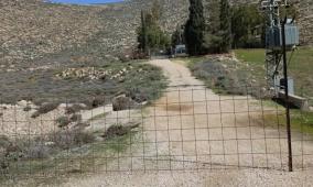 مستوطنون يعتدون على طواقم مصلحة مياه محافظة القدس في عين سامية