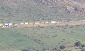 مئات المستوطنين يقتحمون مناطق مختلفة من الأغوار الشمالية