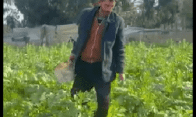 خاص| بين الدمار والأمل… مزارع غزي يعيد الحياة لأرضه