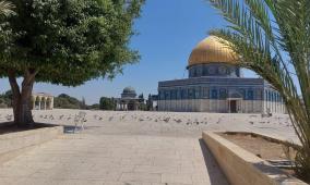 الاحتلال يواصل إغلاق المسجد الأقصى لليوم الـ17