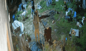 مستوطنون يصيبون مسنة وأولادها ويسرقون 30 رأسا من الأغنام شرق الخليل