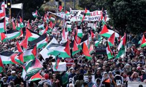 بعد تسجيله رسمياً.. "فلسطين حرة" يشارك في انتخابات نيوزيلندا