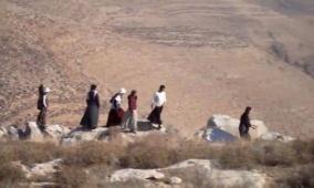خاص| "فتيات التلال".. نشاط استيطاني نسائي لتثبيت البؤر وفرض واقع جديد في الضفة