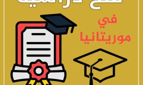 "التعليم العالي" تعلن عن منح دراسية للبكالوريوس والدكتوراة في موريتانيا