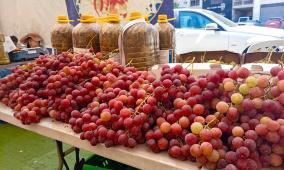 خاص | مهرجان العنب في طولكرم يجمع منتجات متنوعة من عدة محافظات