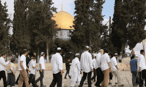 عشرات المستوطنين يقتحمون المسجد الأقصى