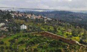 الاحتلال يصدر أمرا عسكريا يستهدف إزالة الأشجار من 99 دونما في دير نظام