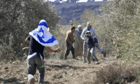 المغير محاصرة بـ 11 بؤرة.. وموسم الزيتون تحت مقصلة الاحتلال والاستيطان