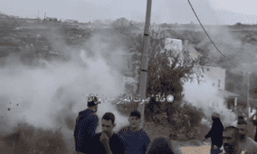 مستوطنون يستولون على مركبة ويسرقون زيتون ومعدات زراعية في عين يبرود