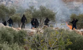 خاص | كيف يحاول المزارعون الفلسطينيون إنقاذ موسم الزيتون؟