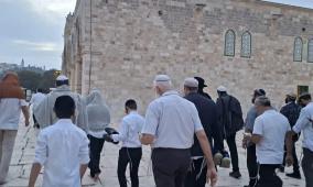 مستوطنون يقتحمون المسجد الأقصى