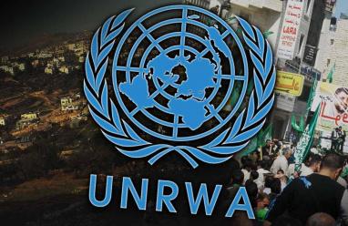 الدنمارك تعلن صرف كامل التمويلات "للأونروا" بقيمة 14 مليون يورو