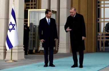 هرتسورغ لأردوغان: مقتنع بأننا سنواصل العمل معا لتقوية علاقاتنا