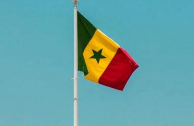 السنغال تعتمد رسميا "العربية" لغة رسمية بدل "الفرنسية"