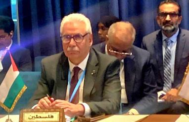 وزراء الصحة العرب يعتمدون قراراً بدعم القطاع الصحي الفلسطيني