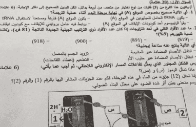 إجابة حل امتحان العلوم الحياتية الأحياء للثانوية العامة توجيهي فلسطين 2025