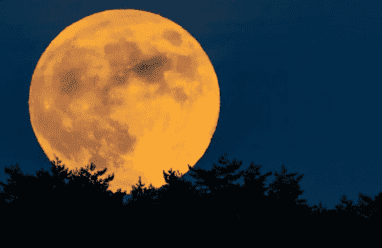 السماء تستقبل مساء الخميس "القمر البارد".. آخر قمر عملاق لـ2025