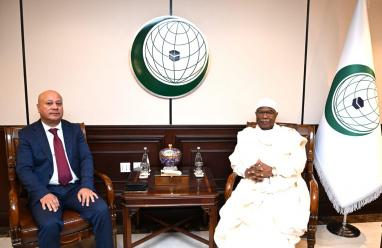 أبو هولي يبحث مع أمين عام منظمة التعاون الإسلامي الأوضاع الفلسطينية