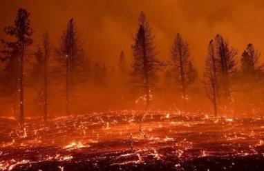 استراليا تعلن حالة كارثة حرائق