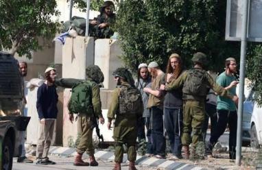 70 أكاديميًا وباحثًا فلسطينيًا يطالبون ألمانيا بإعادة النظر في موقفها من الاستيطان وعنف المستوطنين