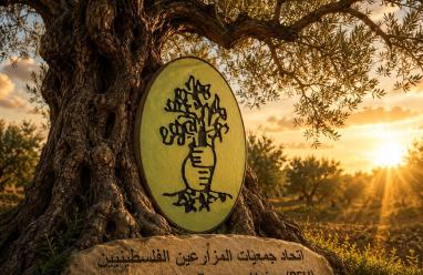 بالإجماع.. الهيئة العامة لاتحاد جمعيات المزارعين الفلسطينيين تقر التقريرين المالي والإداري