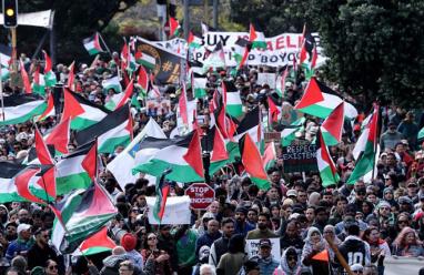بعد تسجيله رسمياً.. "فلسطين حرة" يشارك في انتخابات نيوزيلندا