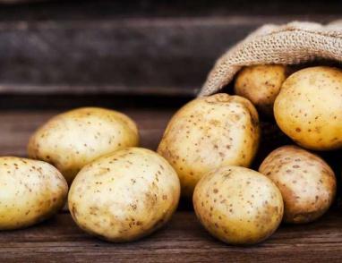 دراسة تنسف ما سبق.. البطاطا تساعد على إنقاص الوزن