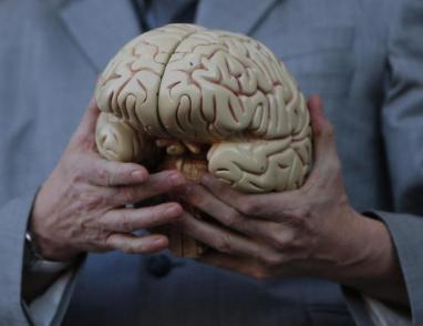 "الدماغ مصنع لا يتوقف".. عالمة تشرح لماذا يستحيل فهمه بالكامل