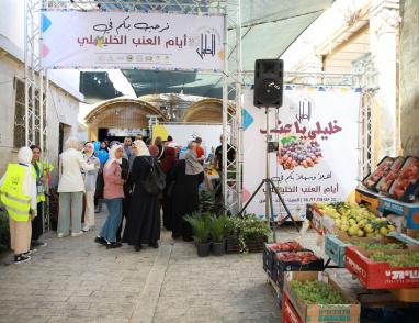 افتتاح مهرجان أيام العنب الخليلي في البلدة القديمة