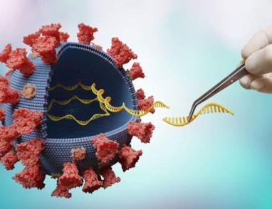 وريث كورونا.. علماء يقولون إن فيروس الإنفلونزا سيكون المسؤول عن الوباء المقبل