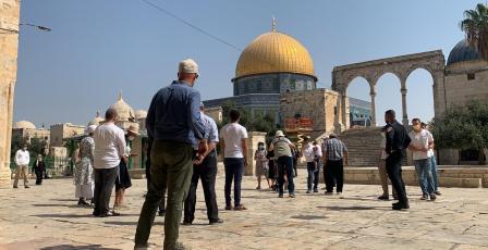 مستوطنون يقتحمون الأقصى والاحتلال يبعد 3 شبان عن المسجد