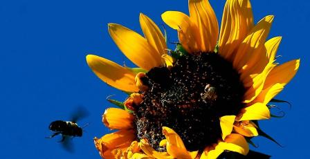 الطقس: ارتفاع على درجات الحرارة