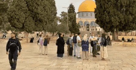 1059 مستوطنًا اقتحموا المسجد الأقصى خلال أسبوع