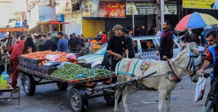 الإحصاء: انخفاض مؤشر غلاء المعيشة في فلسطين بنسبة 0.40% خلال الشهر الماضي