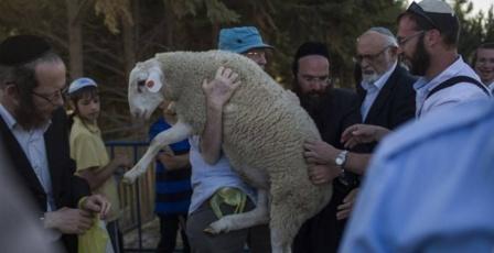 الأعلى منذ 1967... سبع محاولات لإدخال "قرابين" للمسجد الأقصى خلال "الفصح اليهودي" هذا العام