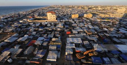 صحيفة: خطة أممية شاملة لمكافحة القوارض والحشرات في غزة قريباً