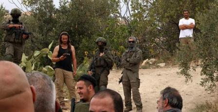 مستوطنون يطلقون مواشيهم في أراضي المواطنين بمسافر يطا ويسرقون مركبة