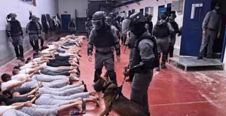 نادي الأسير: 88 شهيدا بين صفوف الأسرى والمعتقلين المعلومة هوياتهم بعد حرب الإبادة