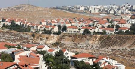 تقرير: تداعيات خطيرة بالقدس والأغوار بسبب "التسمين الاستيطاني" 