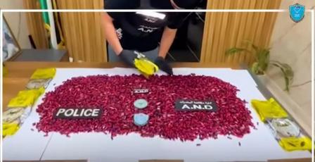 بالفيديو| إحباط محاولة تهريب 7000 كبسولة مخدّرة في أكياس قهوة عبر معبر الكرامة